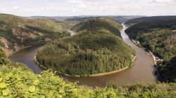 Saar_06_2024-74