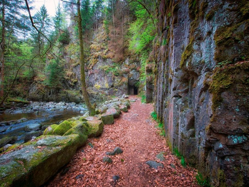 wildbach